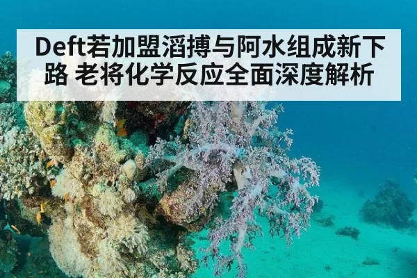 Deft若加盟滔搏与阿水组成新下路 老将化学反应全面深度解析