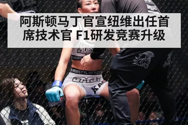 阿斯顿马丁官宣纽维出任首席技术官 F1研发竞赛升级