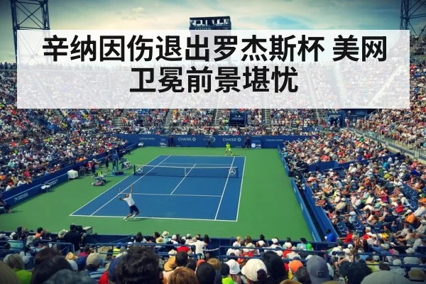 辛纳因伤退出罗杰斯杯 美网卫冕前景堪忧